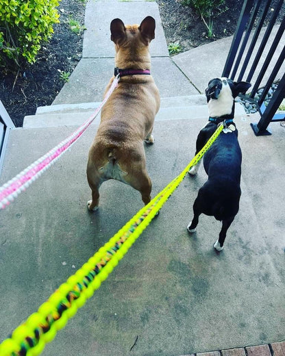 Custom Dog Leash